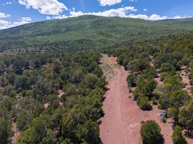 a view of a big yard with lots of green space