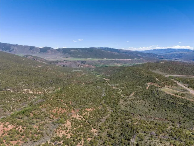 a view of a city with lush green forest
