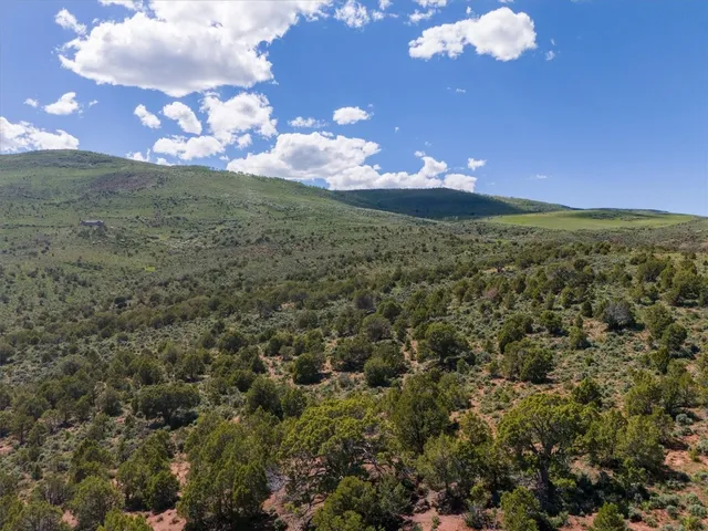 a view of a yard with wooden fence