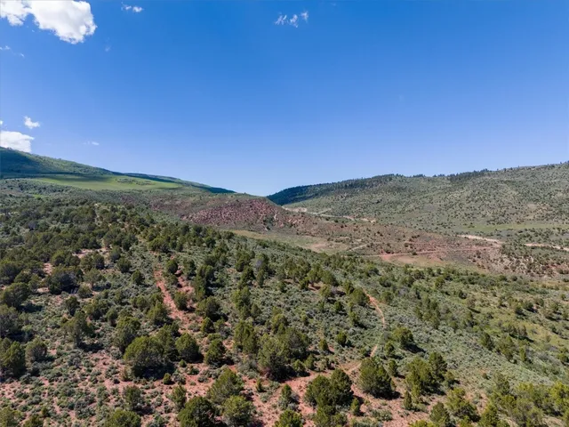 a view of a yard with an outdoor space