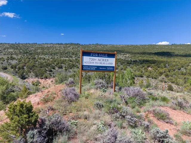 a view of a yard with wooden fence