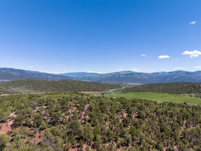 a view of a forest with mountains in the background
