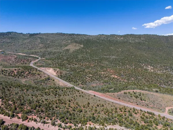 a view of a forest with a mountain