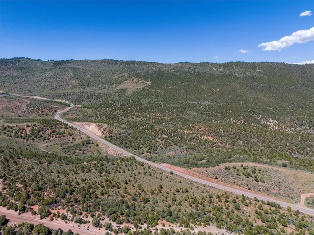 a view of a forest with a mountain