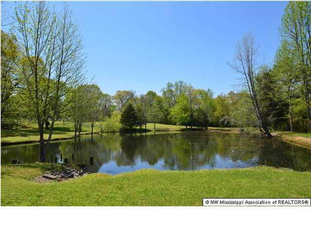 518 Pleasant Hill Road Nesbit, MS 38651 - Photo 11 of 12 Additional Photo