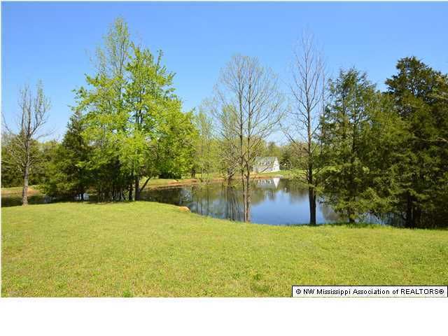 518 Pleasant Hill Road Nesbit, MS 38651 - Photo 12 of 12 Additional Photo