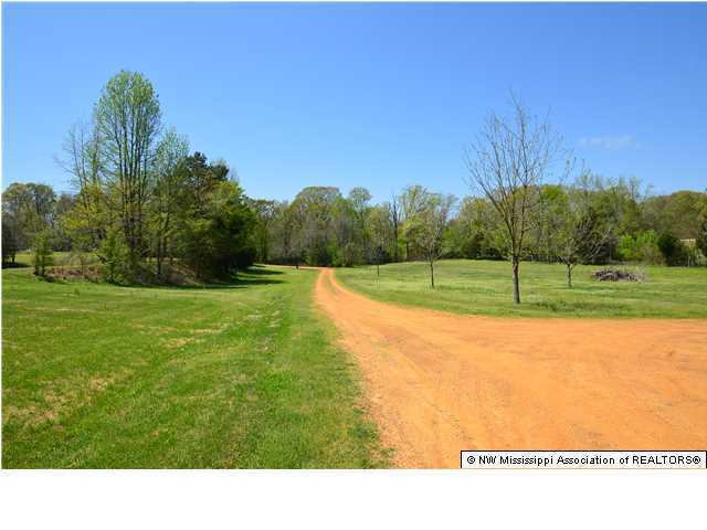 518 Pleasant Hill Road Nesbit, MS 38651 - Photo 9 of 12 Additional Photo