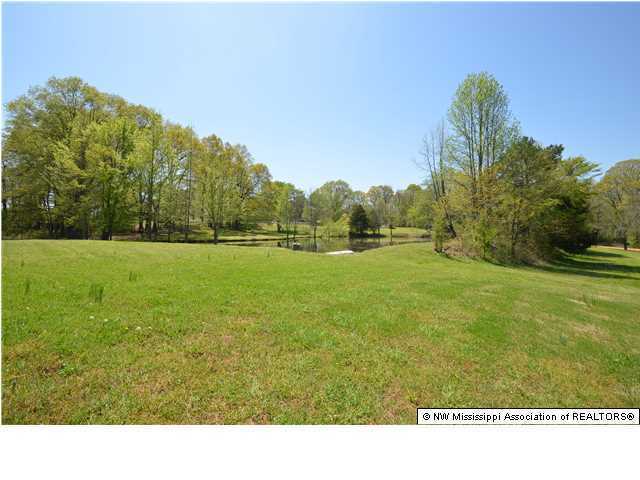 518 Pleasant Hill Road Nesbit, MS 38651 - Photo 10 of 12 Additional Photo