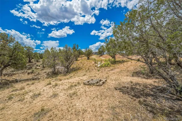 a view of a tree in a yard