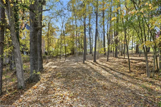 $113,000 | 301 Bing Crosby Boulevard, Advance, NC 27006