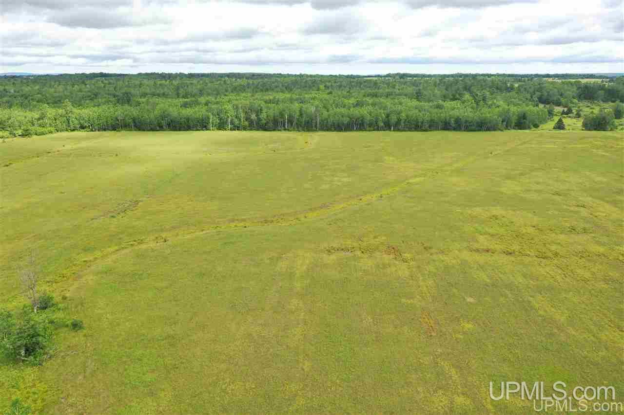 13124 1 Mile Road Bruce Crossing, MI 49912 - Photo 4 of 18