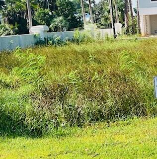 Lot I-14 Lot I-14 Mallard Lane Santa Rosa Beach, FL 32459 - Photo 1 of 15 a view of a garden with plants