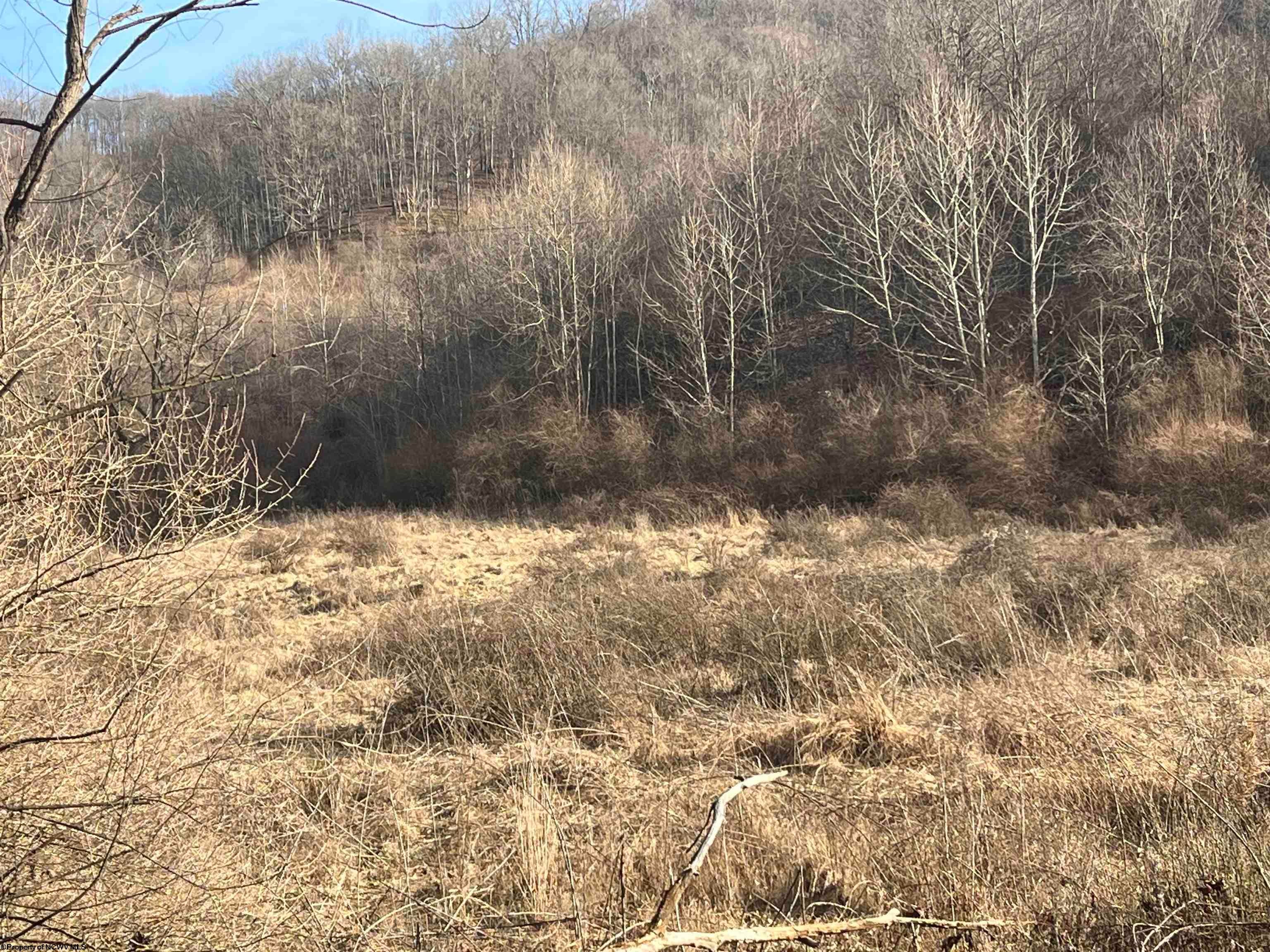 Tbd Beverlin Fork Center Point, WV 26339 - Photo 7 of 14 Gallery Image 7