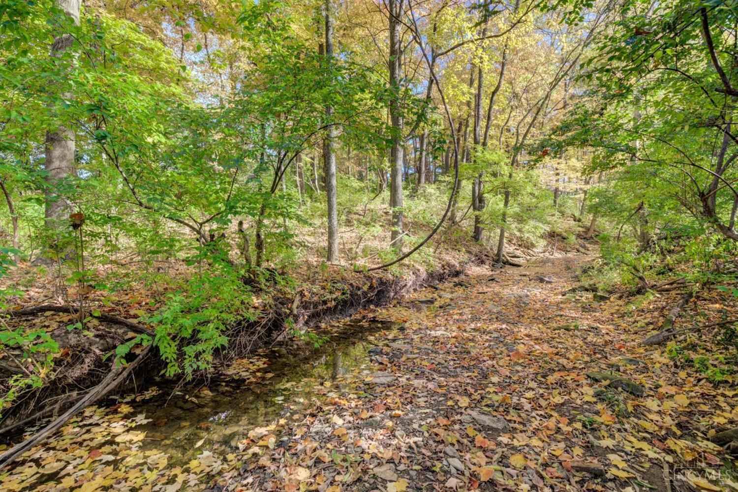 7867 Camargo Road Madeira, OH 45243 - Photo 8 of 12