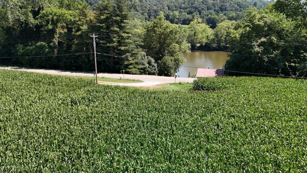 75 South River Road Southeast Malta, OH 43758 - Photo 13 of 48