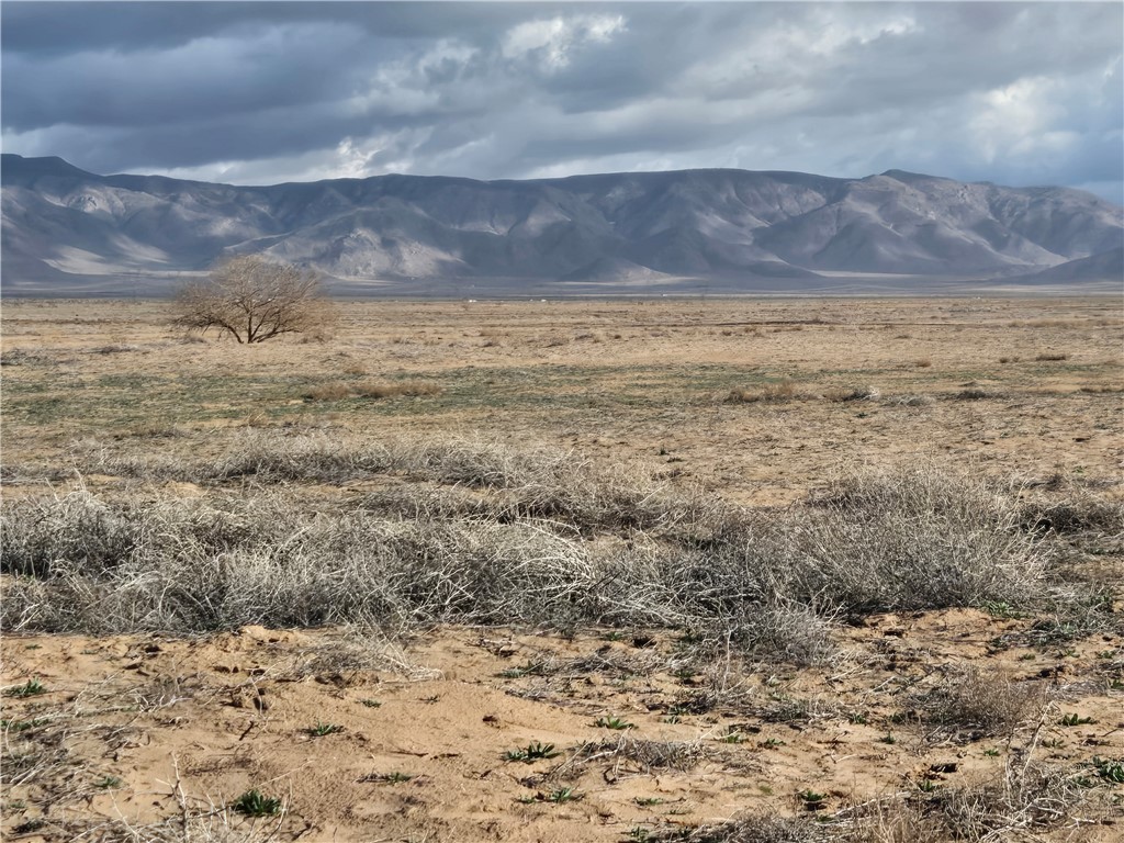 -antares Rd Antares Road Kingman, AZ 86401 - Photo 4 of 16 View of mountain backdrop