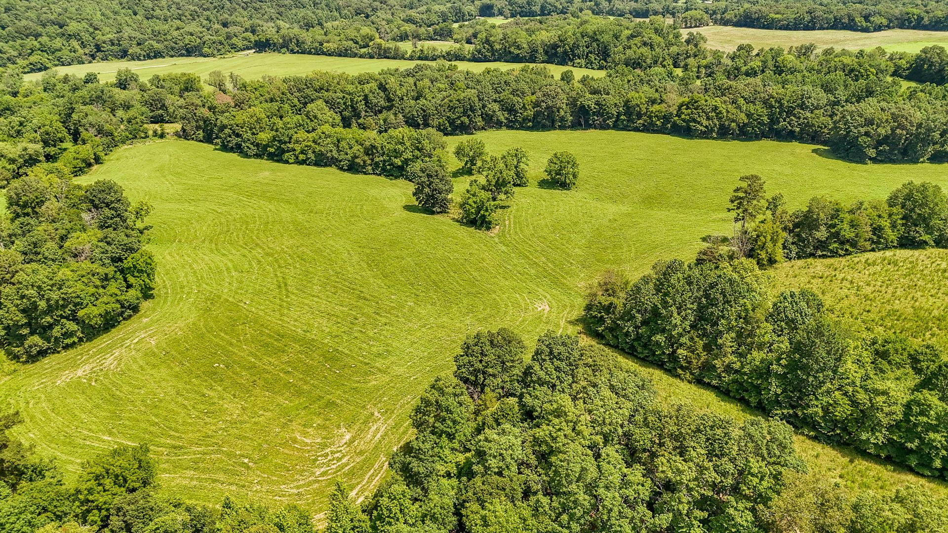 2245 Big Ivy Road Savannah, TN 38372 - Photo 32 of 39