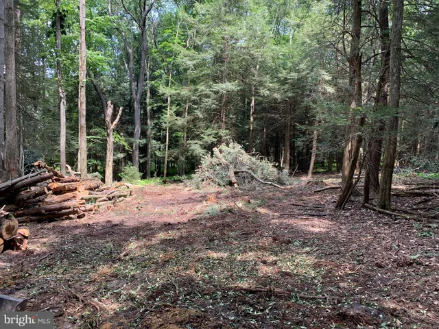 $249,000 | 62 Wild Turkey Court, Oakland, MD 21550