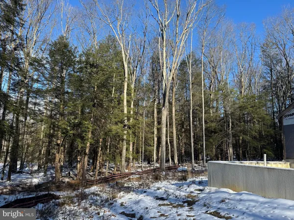 a view of a park with large trees