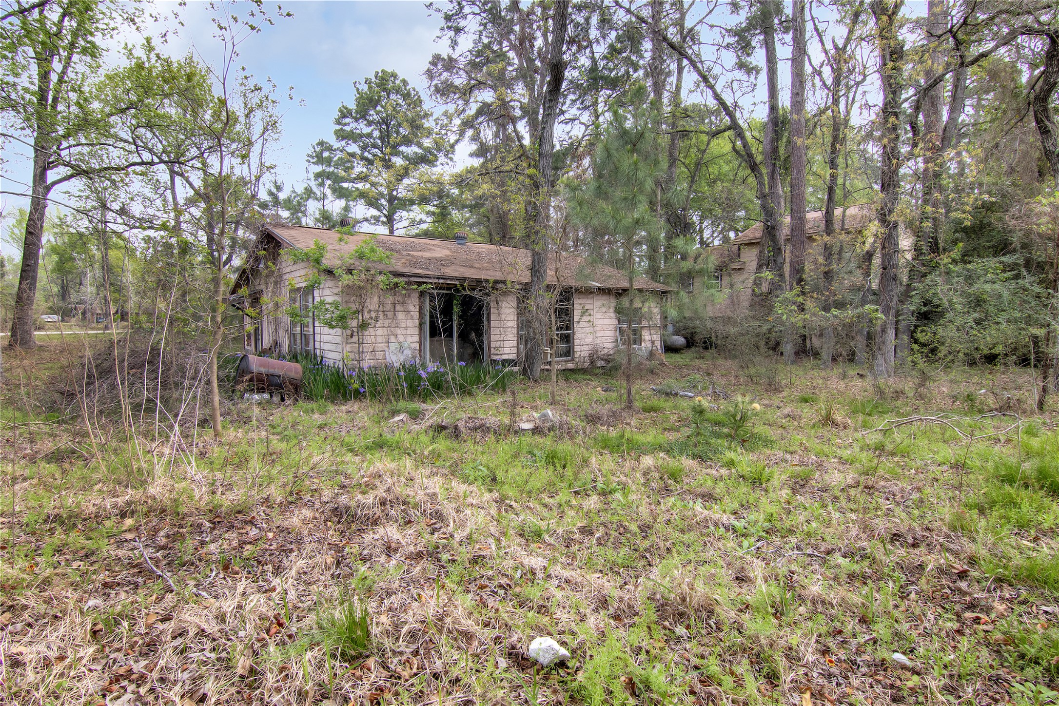 18207 Lark Lane Conroe, TX 77384 - Photo 11 of 15