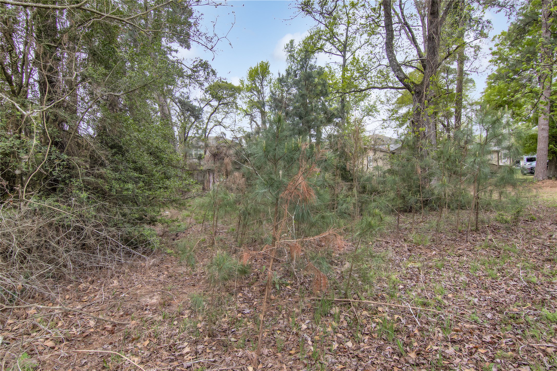 18207 Lark Lane Conroe, TX 77384 - Photo 15 of 15