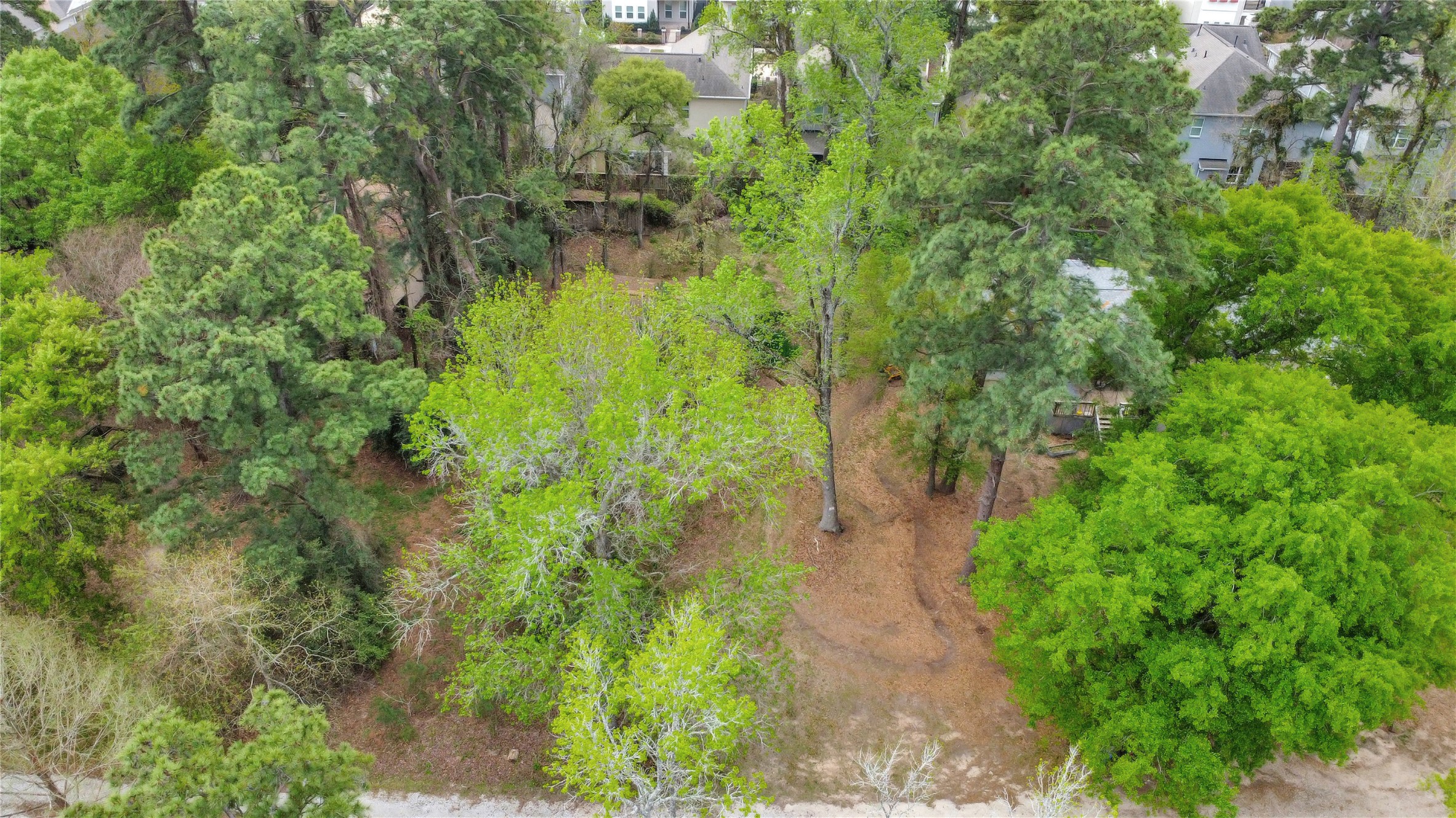 18207 Lark Lane Conroe, TX 77384 - Photo 4 of 15