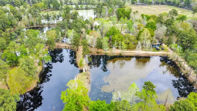 $275,000 | 18207 Lark Lane, Conroe, TX 77384