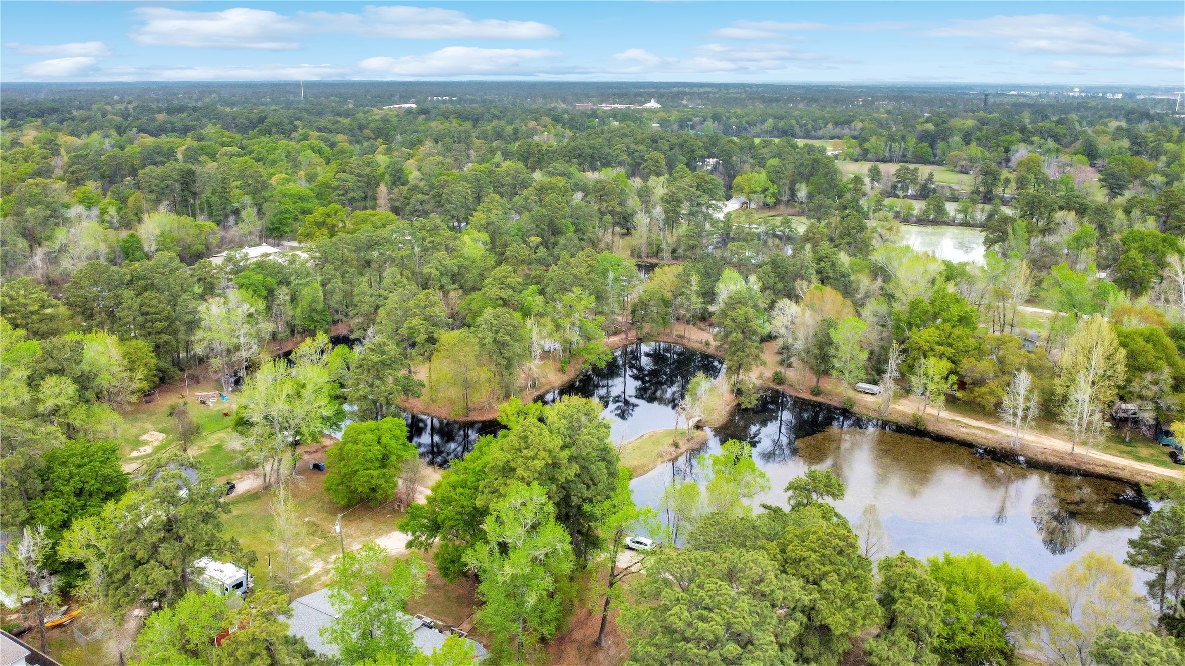 18207 Lark Lane Conroe, TX 77384 - Photo 7 of 15