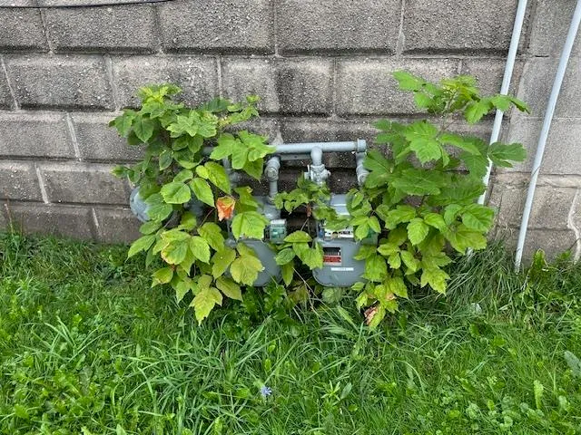 $189,900 | 914 North Van Buren Street, Green Bay, WI 54302