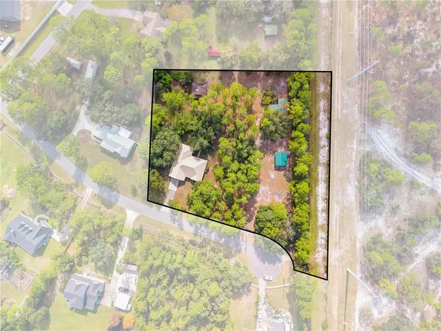 a view of a painting of a tree