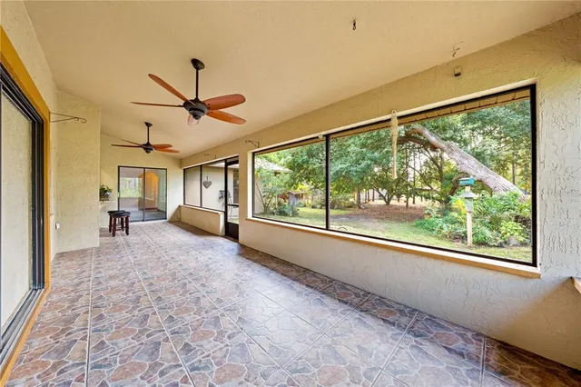 a view of a yard with plants and trees