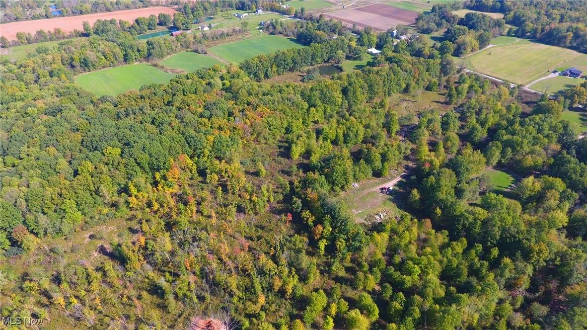 V/l Nichols Road Windham, OH 44288 - Photo 14 of 15 Gallery Image 14