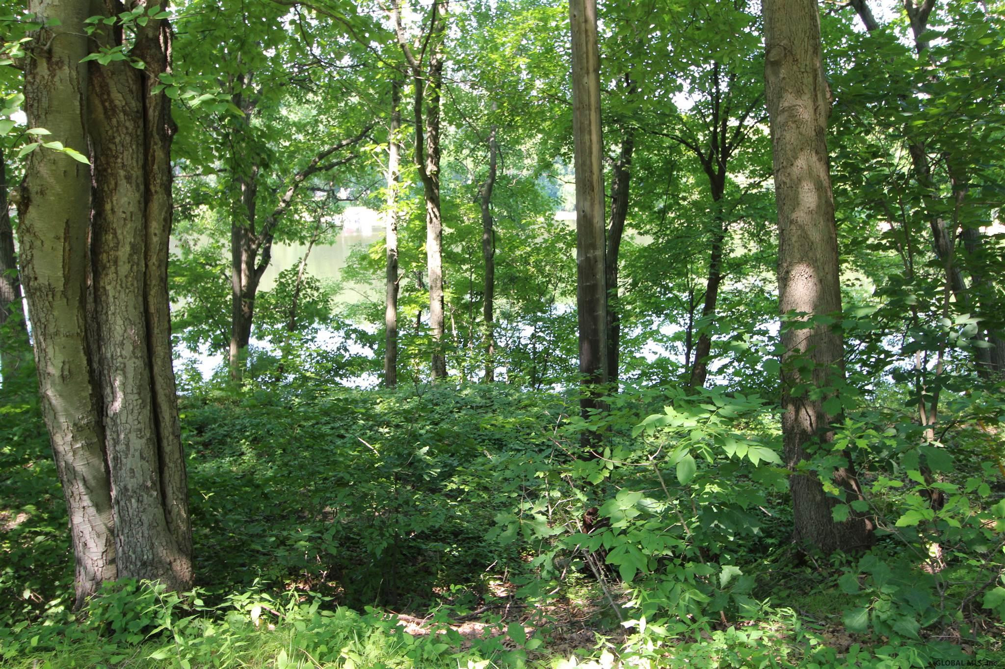 1254 River Road Troy, NY 12182 - Photo 39 of 44 Photo 39
