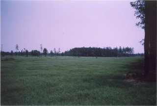 Lot 48 Windsor Road North Williston, SC 29853 - Photo 1 of 1