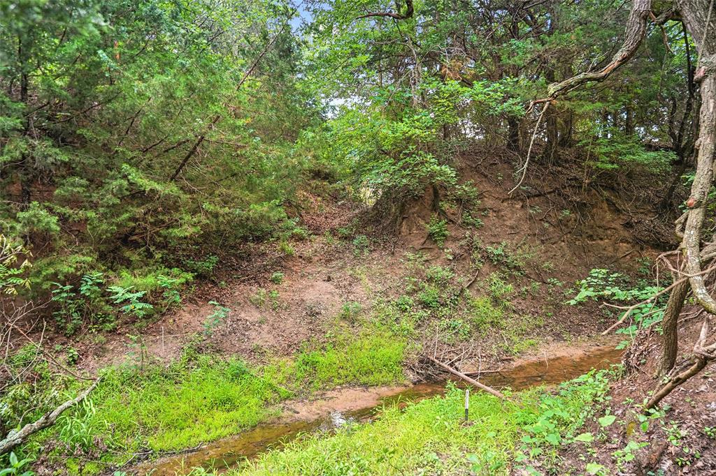 Tbd Schoolhouse Road Forestburg, TX 76239 - Photo 24 of 40 Gallery Image 24