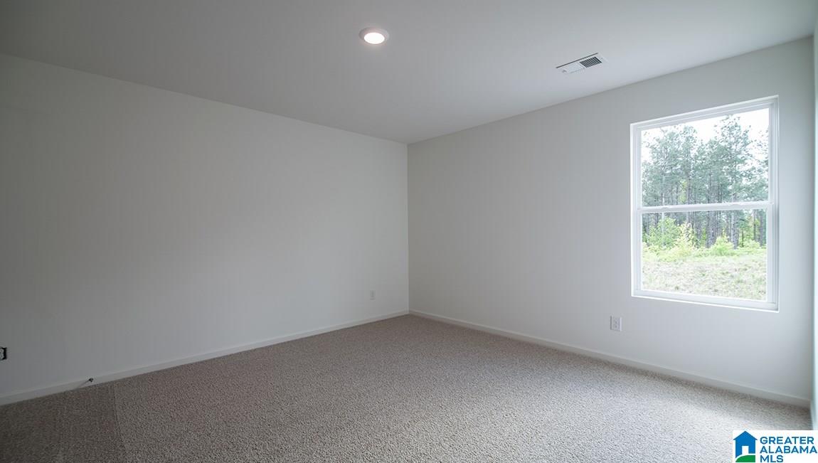 129 Rock Terrace Circle Helena, AL 35080 - Photo 16 of 24