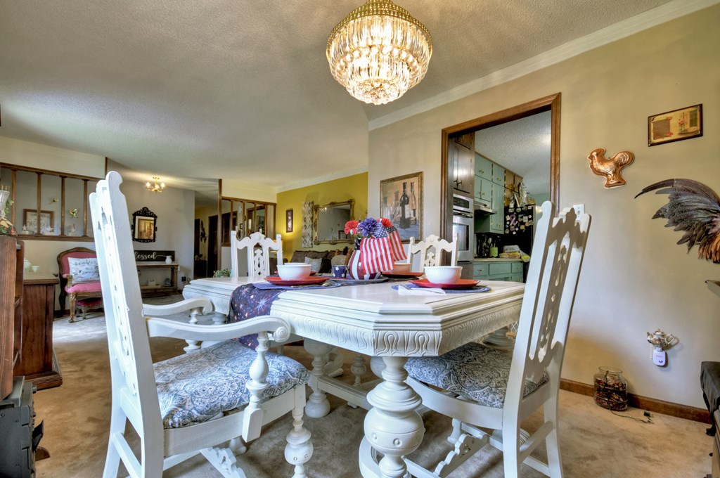 1359 Salem Road Mineral Bluff, GA 30559 - Photo 4 of 18