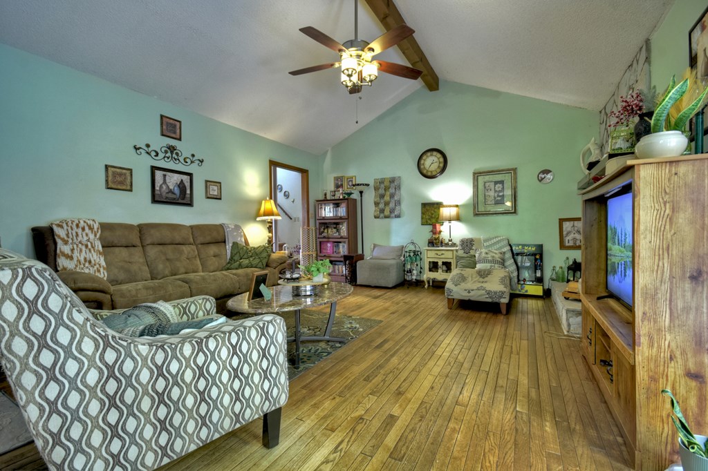 1359 Salem Road Mineral Bluff, GA 30559 - Photo 8 of 18