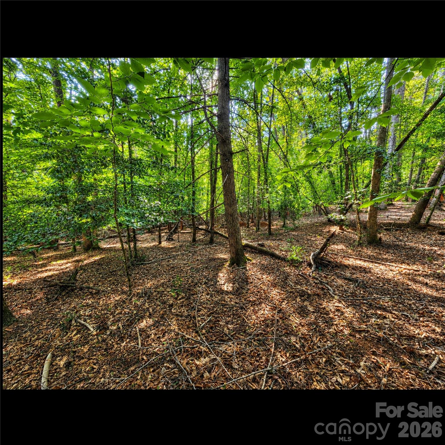 547 James View Road Marion, NC 28752 - Photo 6 of 9