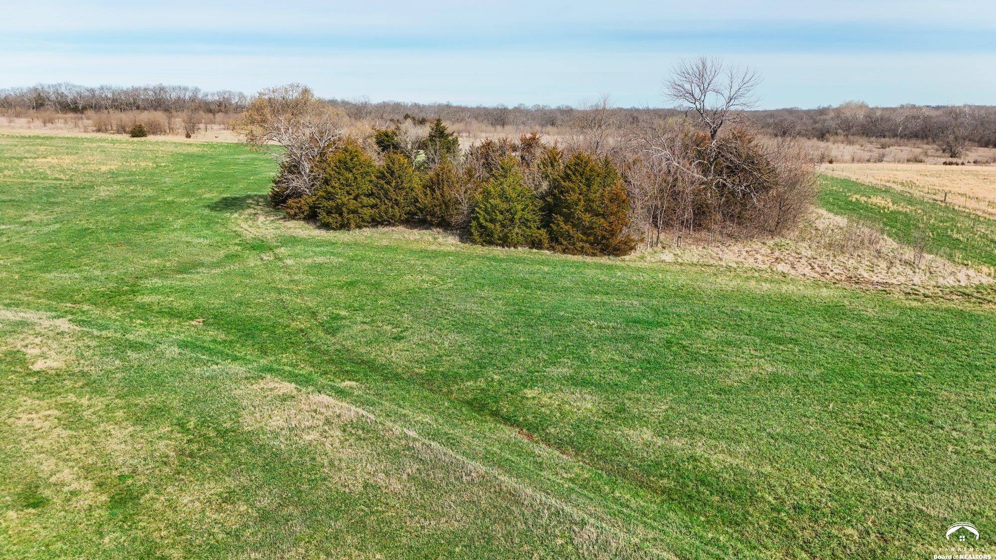 2 North 1st Road Baldwin City, KS 66006 - Photo 8 of 8