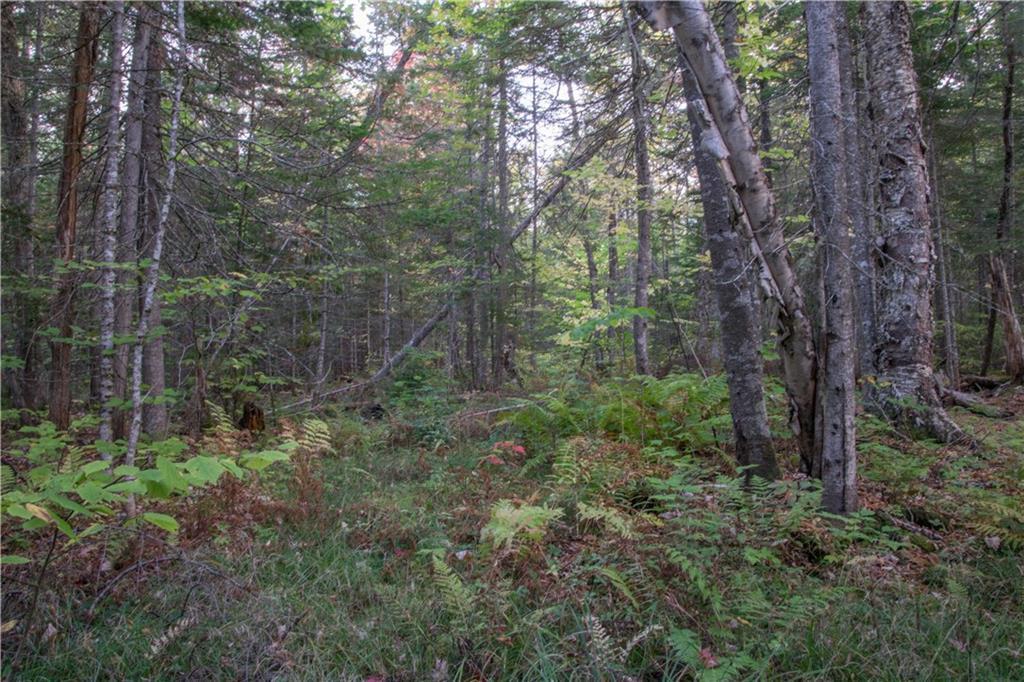 11 NORTH Rd Mount Mount Chase, ME 04765 - Photo 3 of 24 land