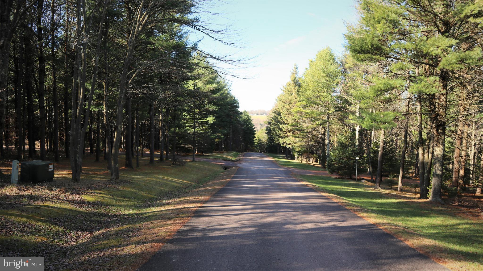 Lot 41 Pine Grove Road Lonaconing, MD 21539 - Photo 2 of 15 Gallery Image 2