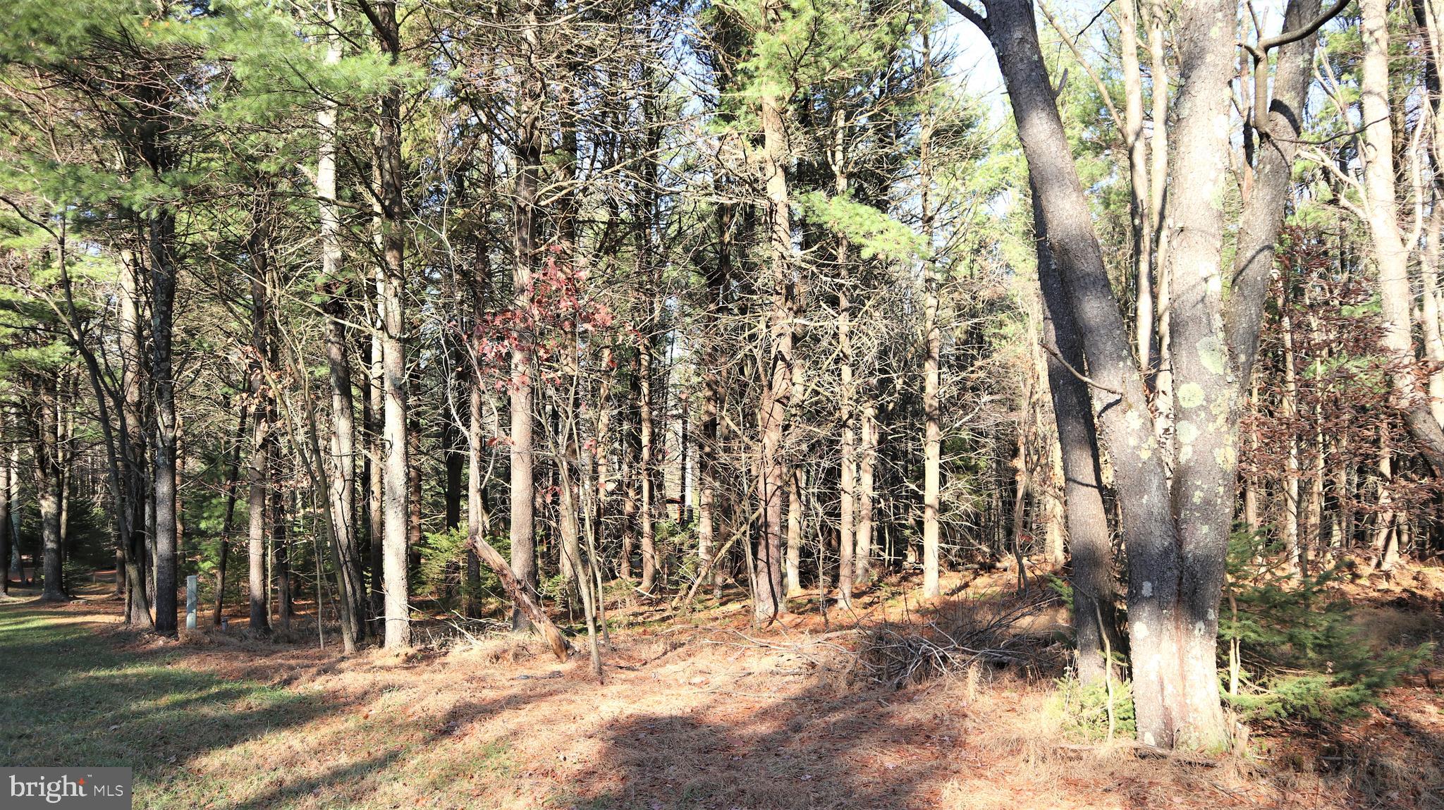 Lot 41 Pine Grove Road Lonaconing, MD 21539 - Photo 4 of 15 Gallery Image 4