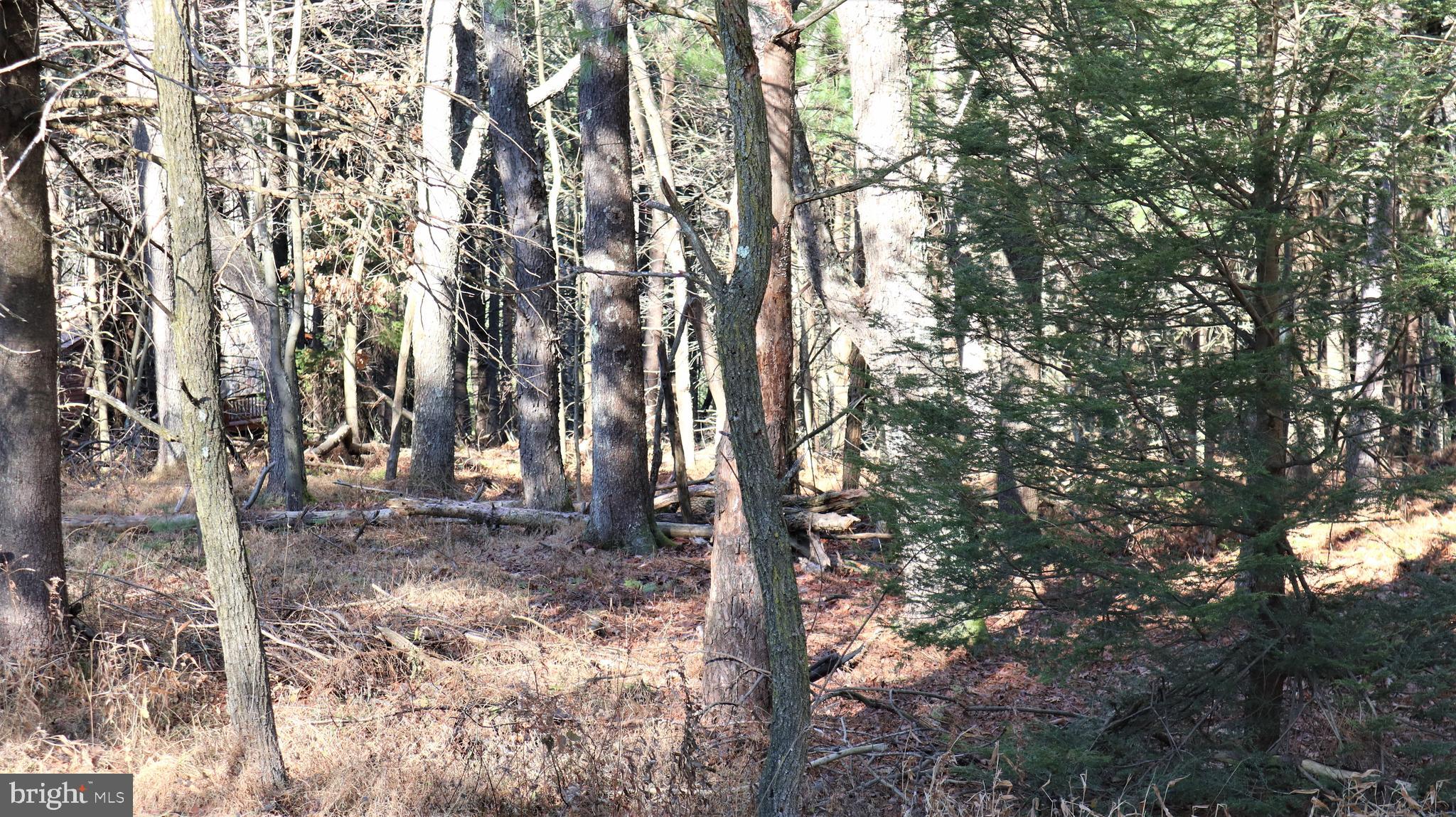 Lot 41 Pine Grove Road Lonaconing, MD 21539 - Photo 5 of 15 Lot View
