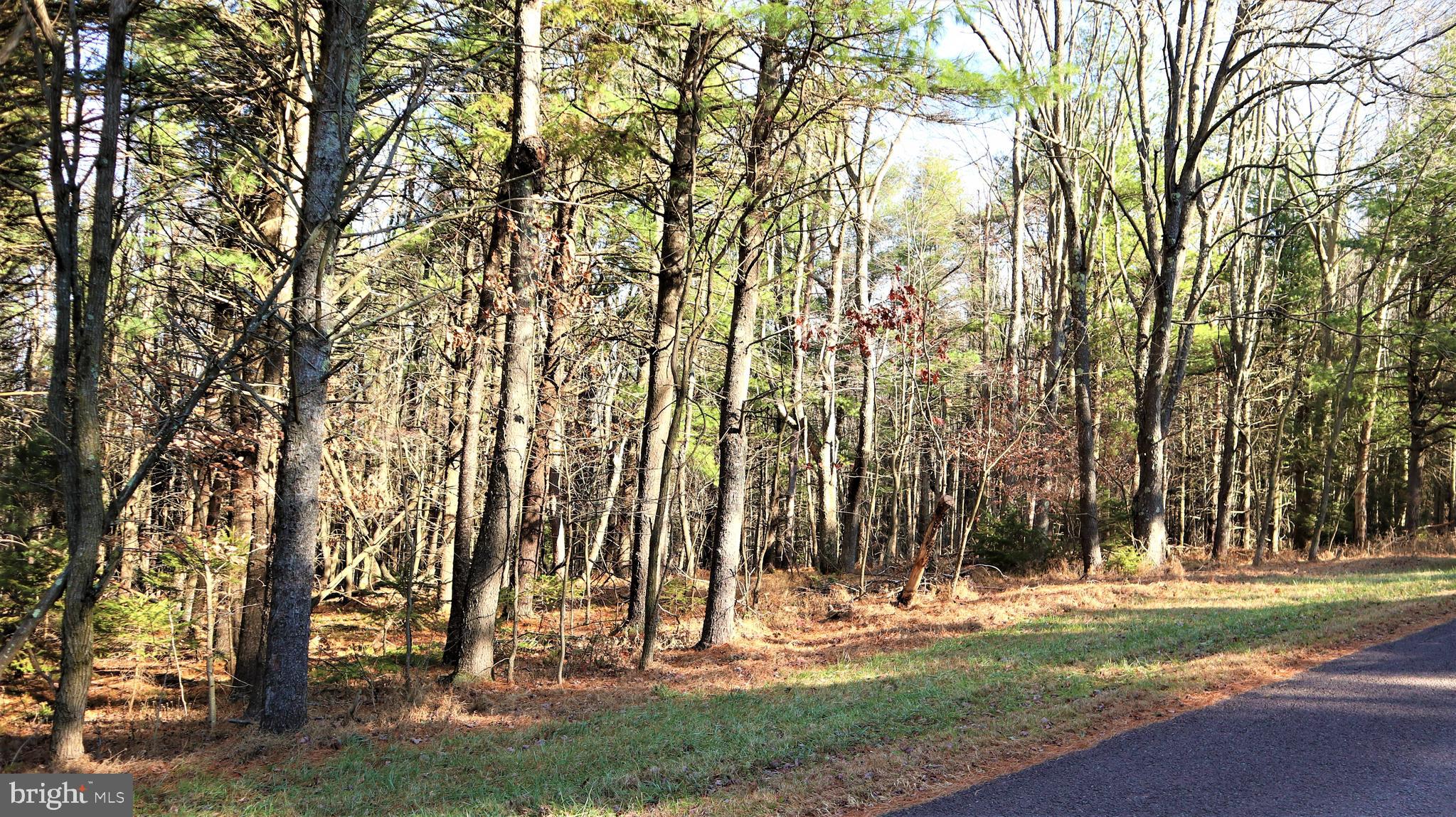 Lot 41 Pine Grove Road Lonaconing, MD 21539 - Photo 7 of 15 Gallery Image 7