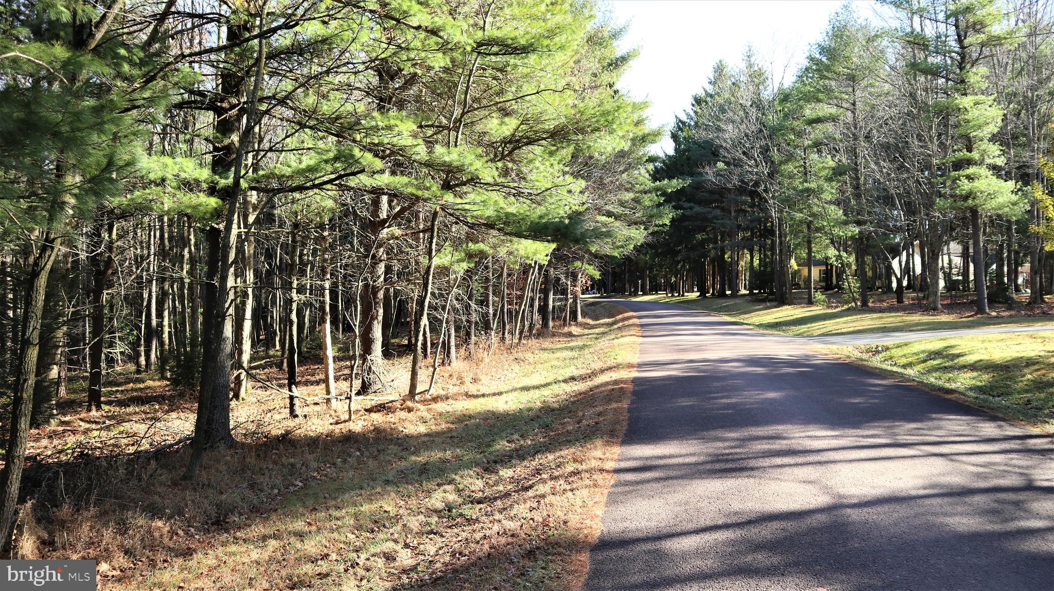 Lot 41 Pine Grove Road Lonaconing, MD 21539 - Photo 9 of 15 Road View