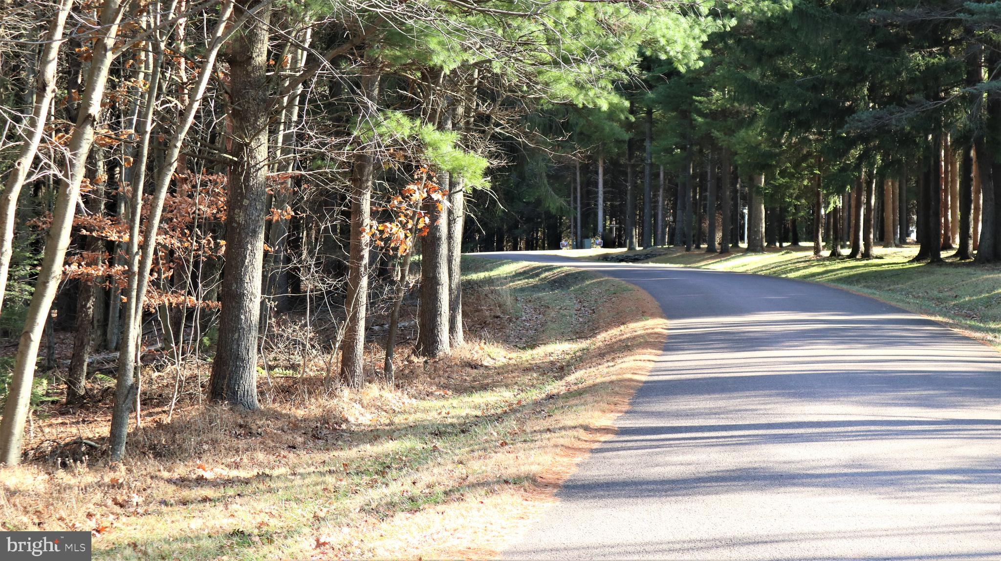 Lot 41 Pine Grove Road Lonaconing, MD 21539 - Photo 10 of 15 Road View