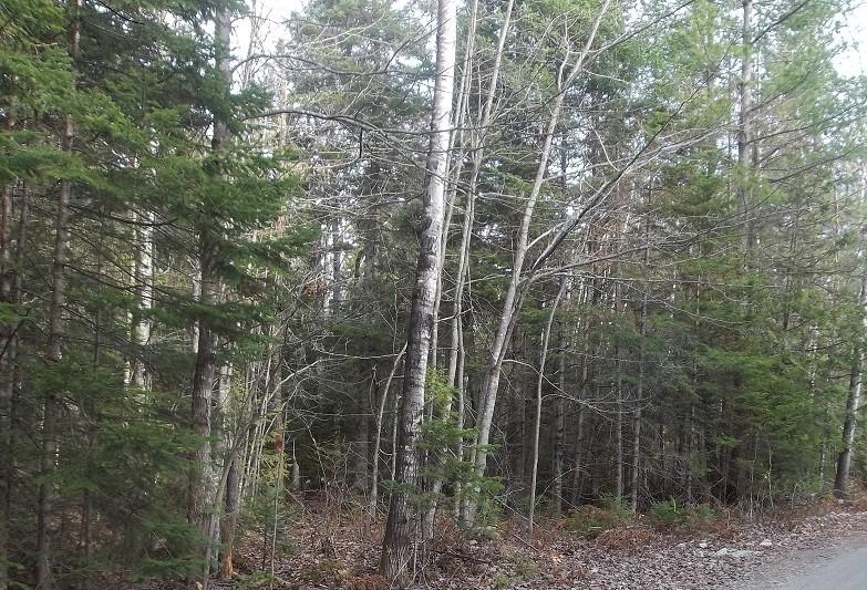 Tbd Pullen Corner Road North Anson, ME 04958 - Photo 1 of 1 Either road (2)