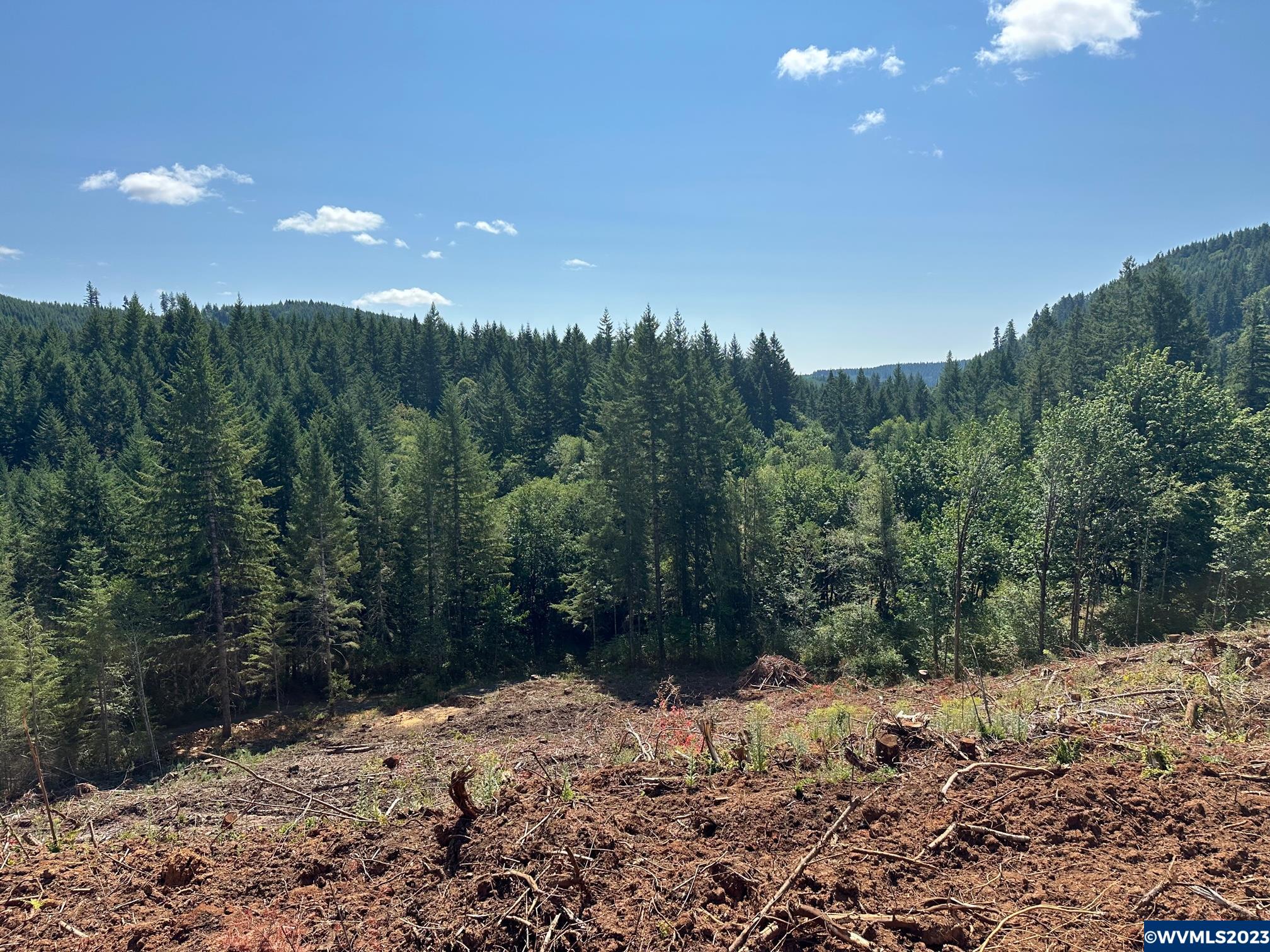 526258 Southwest Pumpkinseed Road Willamina, OR 97396 - Photo 6 of 24