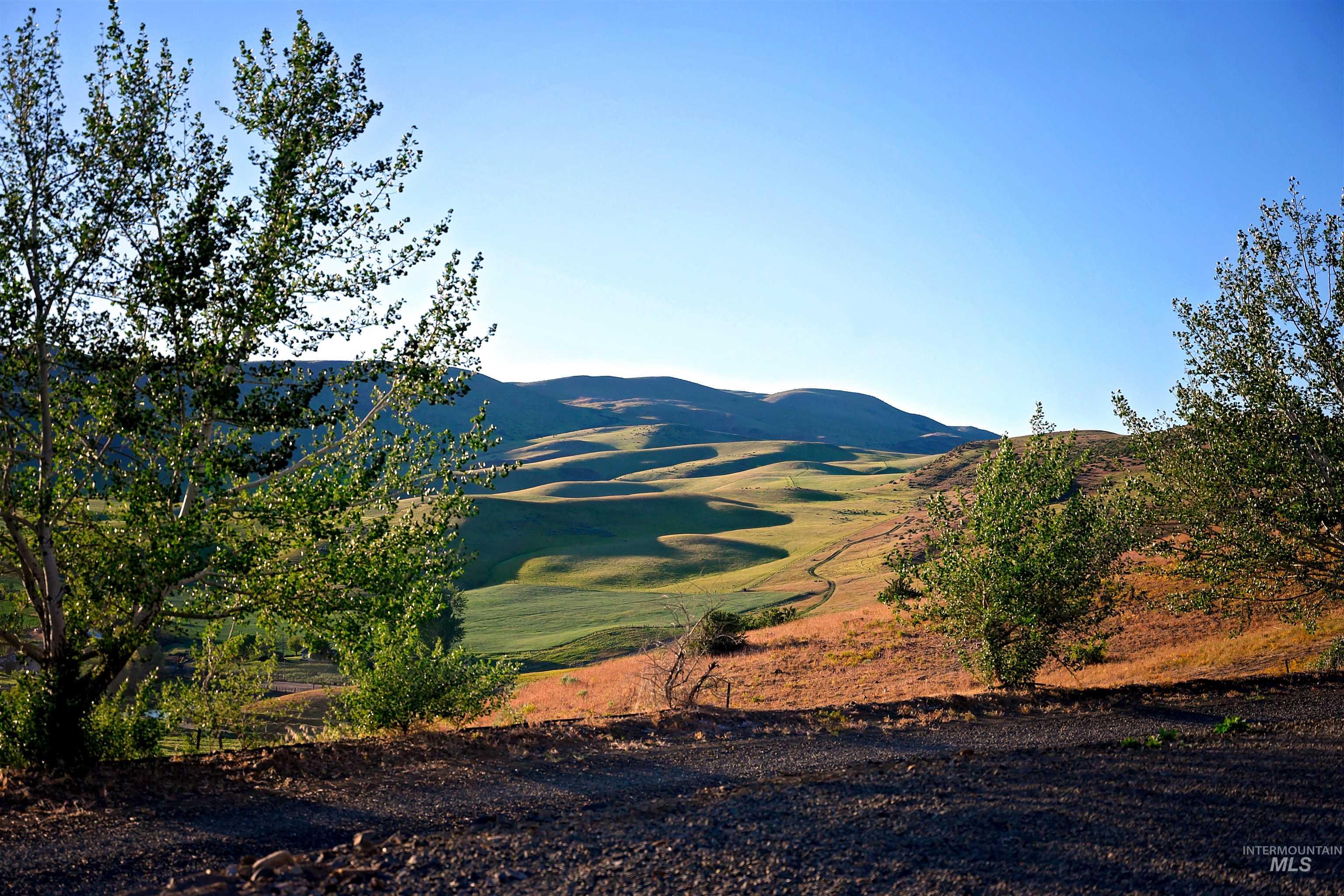 1190 Devils Elbow Road Weiser, ID 83672 - Photo 38 of 42